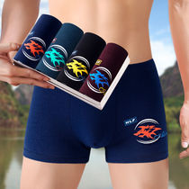 4 cotton 2021 new summer mens underwear mens boxer youth breathable large size four corner underwear men