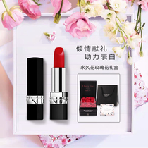 Diomany lipstick big name 999 matte long lasting brand name lip gloss niche brand niche brand joint name welsunder