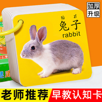 Animal card early education cognitive Children Baby See picture literacy digital color card infant educational toy