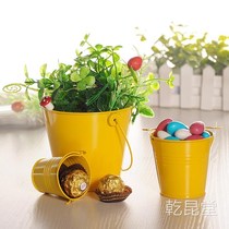 Iron Sheet Multi Meat Flower Pot Flower Barrel Toy Barrel Beach Bucket Colored Drawing Bucket 100 Hitch Mini Candy Color Small Iron Bucket
