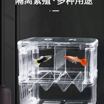  Guppy fish tank breeding box Fry incubator isolation box Small fish incubation box Acrylic fish egg delivery room