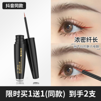 Mascaras slim-to-be-thick eyebrows grow night cream official web