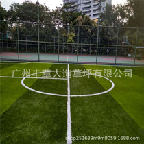 Artificial lawn material school playground plastic green carpet grass decoration PE5 cm sports Guangdong football field