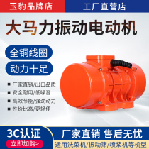 Industrial vibration motor 380V three-phase asynchronous MV60 100 200 300 500 3 vibration blanking vibrator
