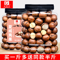 Nuts snacks Hawaiian fruit 500g canned cream flavor plain dried nuts summer fruit whole box 5kg pregnant women snacks