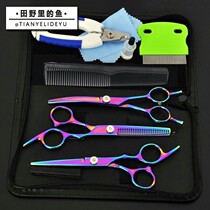Pet Scissor Set Teddy Hairy Dog Beauty Tool Curved Cutter Cut Dog Shearing Scissors VIP Cat Supplies