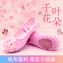 Childrens dance shoes girls practice ballet shoes soft bottom body dancing shoes pink cat claw shoes flowers Chinese dance
