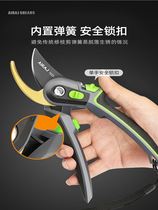 Scissors scissors tree branches Mulberry household bonsai grape scissors fruit tree scissors fruit tree scissors fruit tree scissors knife