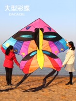 Creative large kite three-dimensional giant adult special colorful butterfly kite High-grade adult kite cartoon easy-to-fly