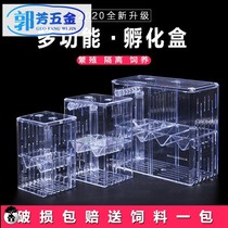 Guppies breeding box hatching small fish tank box tropical fish hatching extra small small fish box fish tank spawning room