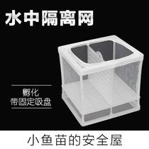 Fish tank isolation box protection small fish Betta Yazi tropical fish isolation net device isolation box box fish tank heat