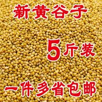 Parrot egg yolk millet young bird feed shelled millet tiger skin peony Xuanfeng Wenbird pigeon feed feed grain