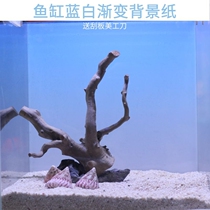 Fish tank background papyrus tank HD wallpaper ecological tank background aquatic tank background blue and white gradient color with back glue