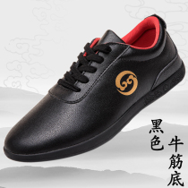 Chenjiagou new spring and summer autumn leather Taiji shoes female mens soft cowhide cowhide performance shoes Chinese style