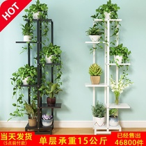 ins flower stand Living room Floor-to-ceiling Wrought iron multi-storey indoor special space-saving hanging basket fleshy green dill shelf Nordic style