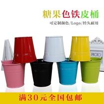 Iron sheet fleshy flower pot toy bucket beach bucket painted bucket Joker mini candy colored small iron bucket