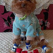 Dog Shoes Cute Panda Head Soft Surface Anti-slip Casual Shoes Soft Rubber Sole Teddy VIP Bichons Gum Soled Shoes