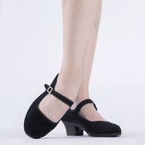 Ethnic dance shoes summer womens dance grade black heels wear new breathable high heel soft bottom professional adult