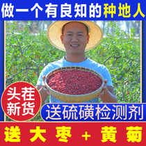Chinese wolfberry Ningxia Special 500g head stubble disposable natural authentic Zhongning Hong Gou Gou Ji bubble water official flagship store