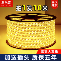 led light strip 220V household living room ceiling outdoor waterproof 100 m engineering lighting decoration white light warm light strip strip