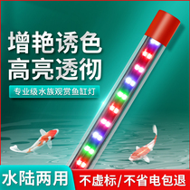 Water pet family fish tank lamp LED light small tube amphibious dragon fish special diving lamp lighting aquatic grass lamp
