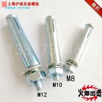 Expansion screw galvanized expansion bolt iron external expansion M6M8M10 * 60*80*100*120*150*300