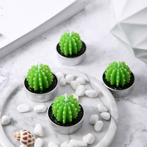 Scented candle Cute bedroom girl light fragrance Fragrance Companion gift incense decoration gift Succulents cactus