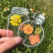 Handmade DIY bottle dry flower sticker transparent plant specimen dry flower bookmark glass bottle making materials pack