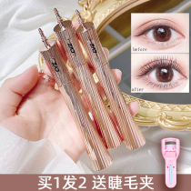 Explosive mascara female waterproof fiber long roll teething without fainting brown dense and non-undying lasting base shaping