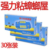 30 cockroach house Golden cat Sanli No environmental poison to kill cockroach drug trap Paste glue bait powder Household