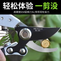 Tough shears pruning shears pruning knives flower road giant vegetable flower shop high branch shears k71