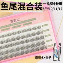 Feisier mixed fishtail fairy single cluster false eyelashes female net red recommended natural soft 8 9 10 11 12