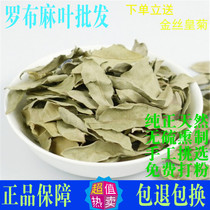Apochnum leaf Chinese herbal medicine Special 500g Xinjiang new products Apochum tea Jiang pressure non-Tongrentang
