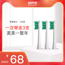 Wei Miaoxing DT206 Series Electric Toothbrush Universal Gingival Brush Head