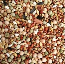 Grade A 20 catty of corn pigeon food nutrition feed bird food letter dove and pigeon dove young pigeon to be dove