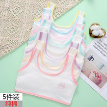 Girls cotton underwear development period middle and big children 8 years old 10-13 years old vest anti-bump primary school students wear chest wrap