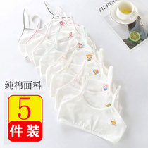 Cotton underwear girl bra Primary School students 11 developmental period big child vest girl 9-12 years old girl 10 children