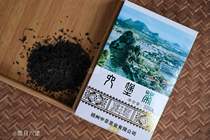COFCO Chinese Tea Classic Liubao Tea 2019 Edition Landscape Gift Box Guangxi Wuzhou Special Products First Class Black Tea
