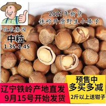 Wild Hazelnut 2021 Northeast specialty Tieling Kaiyuan original hazelnut roasted nuts 500g Shunfeng medium grain