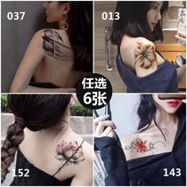 (6 sheets in one copy)Flower arm tattoo stickers Waterproof long-lasting men and women arm tattoo stickers Sexy painted tattoo Stickers