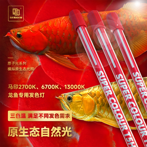 马印烤色灯精选和马印烤色灯品牌价格与图片-淘宝商品网