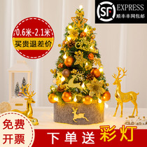 60cm Mini Little Christmas Tree Home Set Ornament Encrypted 1.5m Christmas Tree Festival Decoration Arrangement
