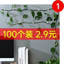 Green Ole Fixed Pile Outdoor Wall Frame Flowers Vines Adsorption Glued Hook Balcony Multifunction Finishing Outdoor Clip card clip Climbing Vine