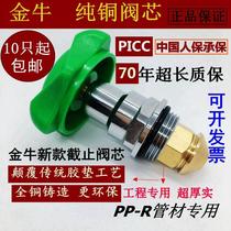 Golden cattle ppr globe valve spool fine copper spool dn20dn25dn324 points 6 minutes 1 inch