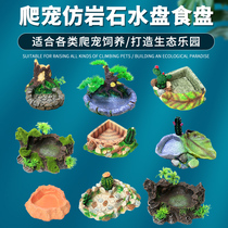 Reptilian food basin tortoise box basin crawl box food plate lizard horned frog guard Palace radiation feeding box pet drinking tray