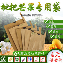 Loquat bag loquat bag loquat bag Mango bag bag fruit bag fruit bag insect bird