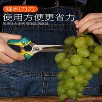 Combed fruit scissors fruit fruit vegetable flower comb flower cut fruit multifunctional scissors fruit multifunctional scissors