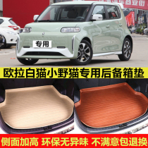 Applicable to 22 23 Euler White Cat Little Wildcat environmentally friendly waterproof car trunk mat tailbox mat rear compartment modification