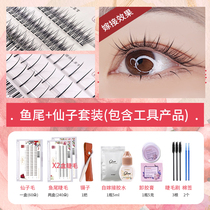 Eyelash Grafting Fairy Hair Single Tuft Female Natural Emulation yourself Own Beauty Mascara Special Tools Full Suit False Eyelash