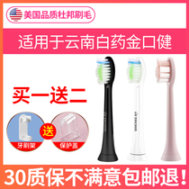 Soft wool with Yunnan Baiyao Jin Koujian electric toothbrush head K1676S1 jk-1051 replacement head brush head Universal